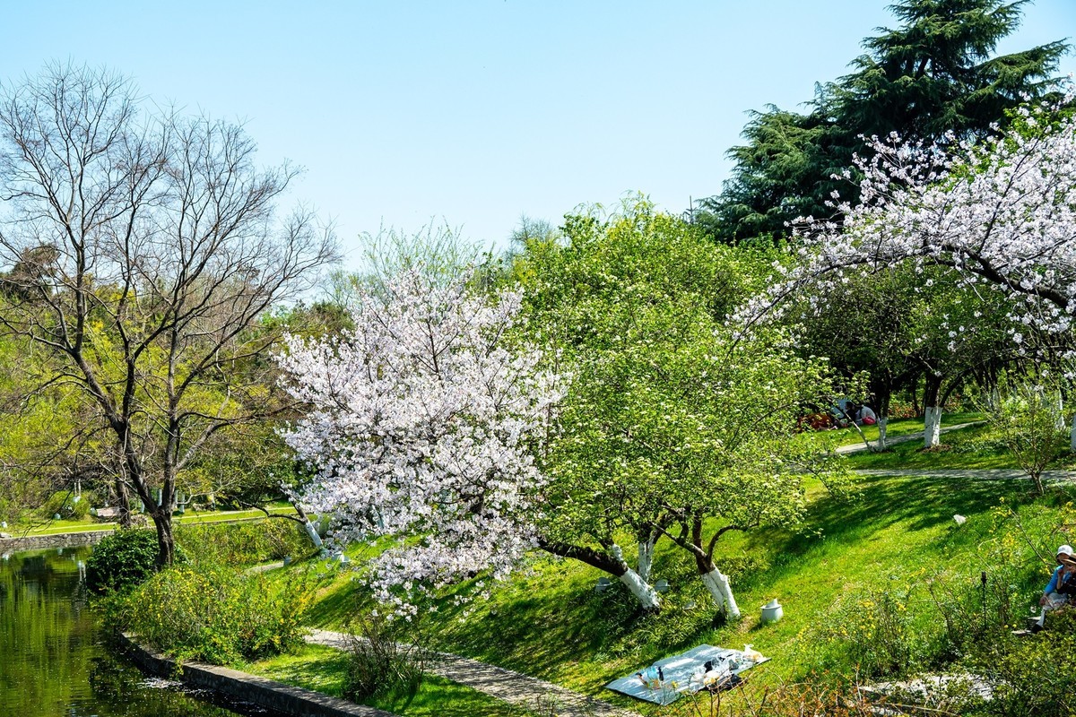 江南行—南京玄武湖—(43)—(3)