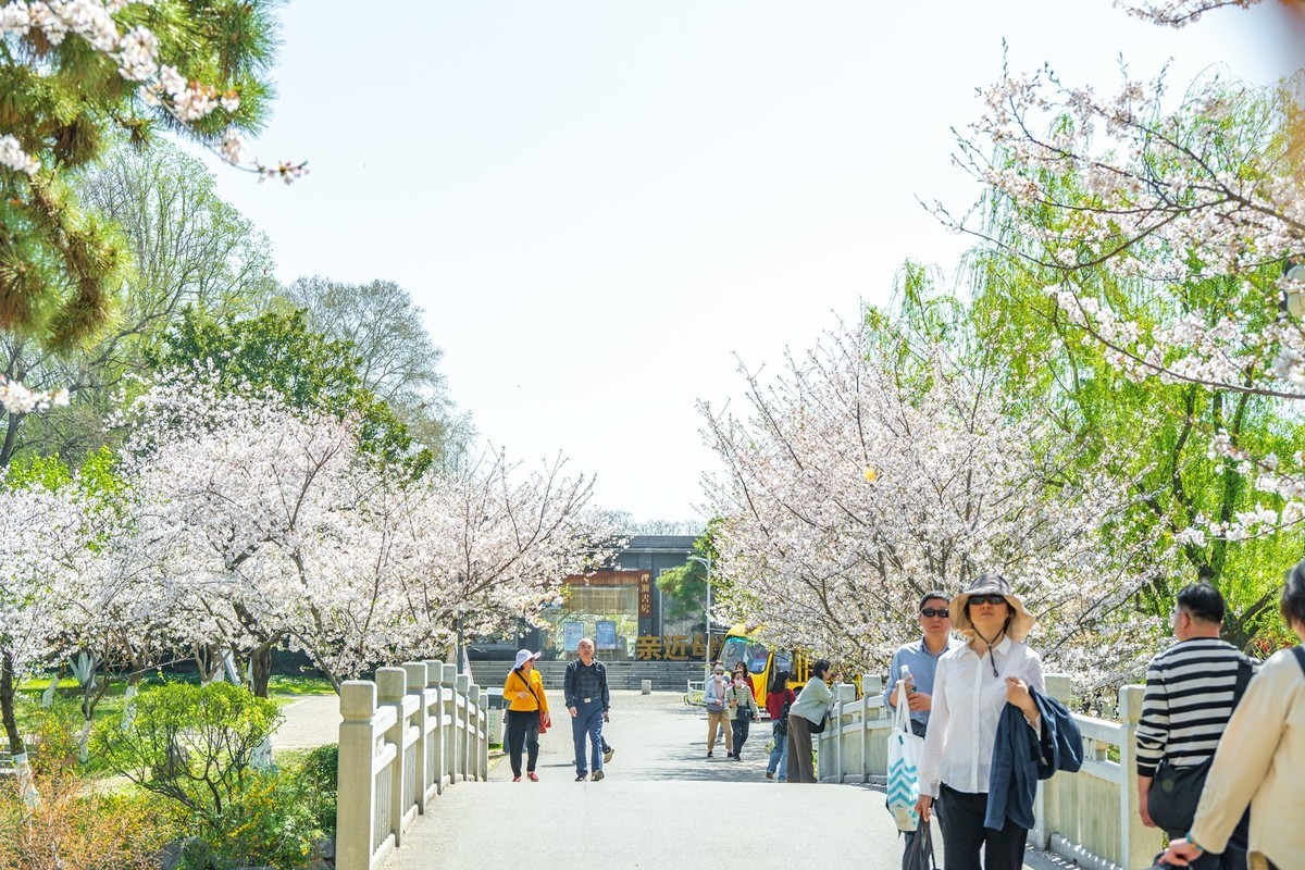 江南行—南京玄武湖—(43)—(3)