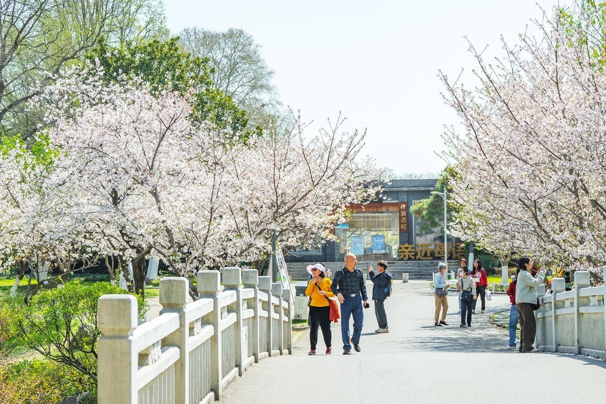 江南行—南京玄武湖—(43)—(3)