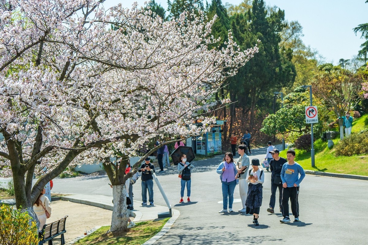 江南行—南京玄武湖—(43)—(3)