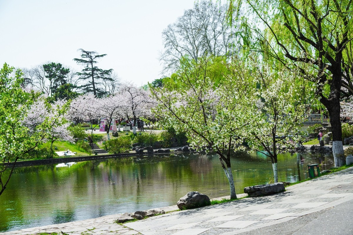 江南行—南京玄武湖—(43)—(3)