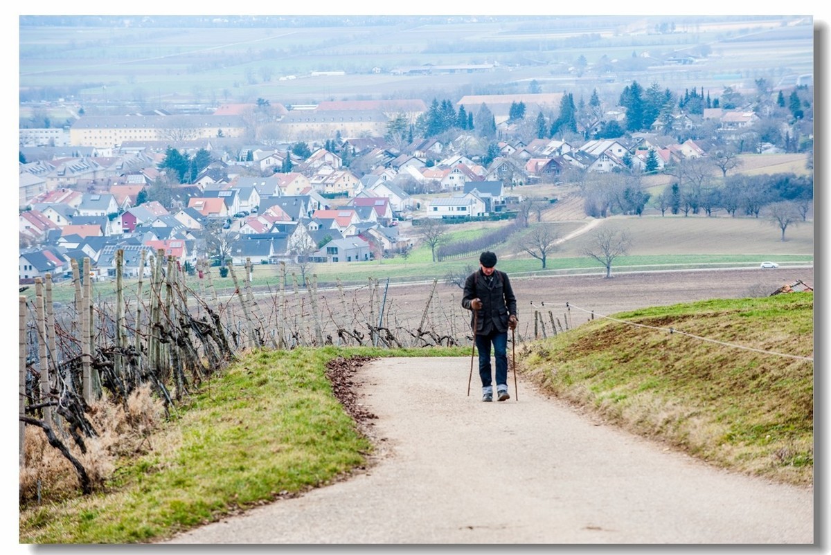 踏冬“罗马山”的德国人民