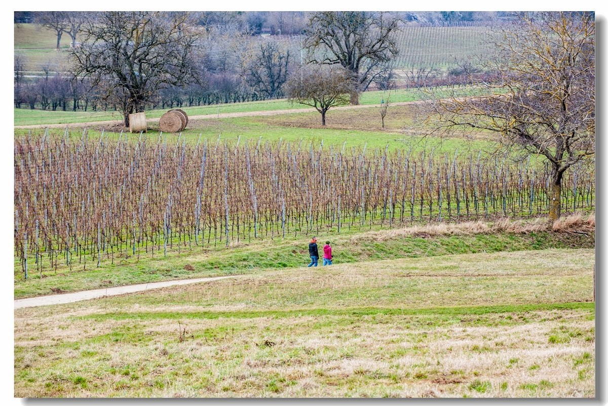 踏冬“罗马山”的德国人民