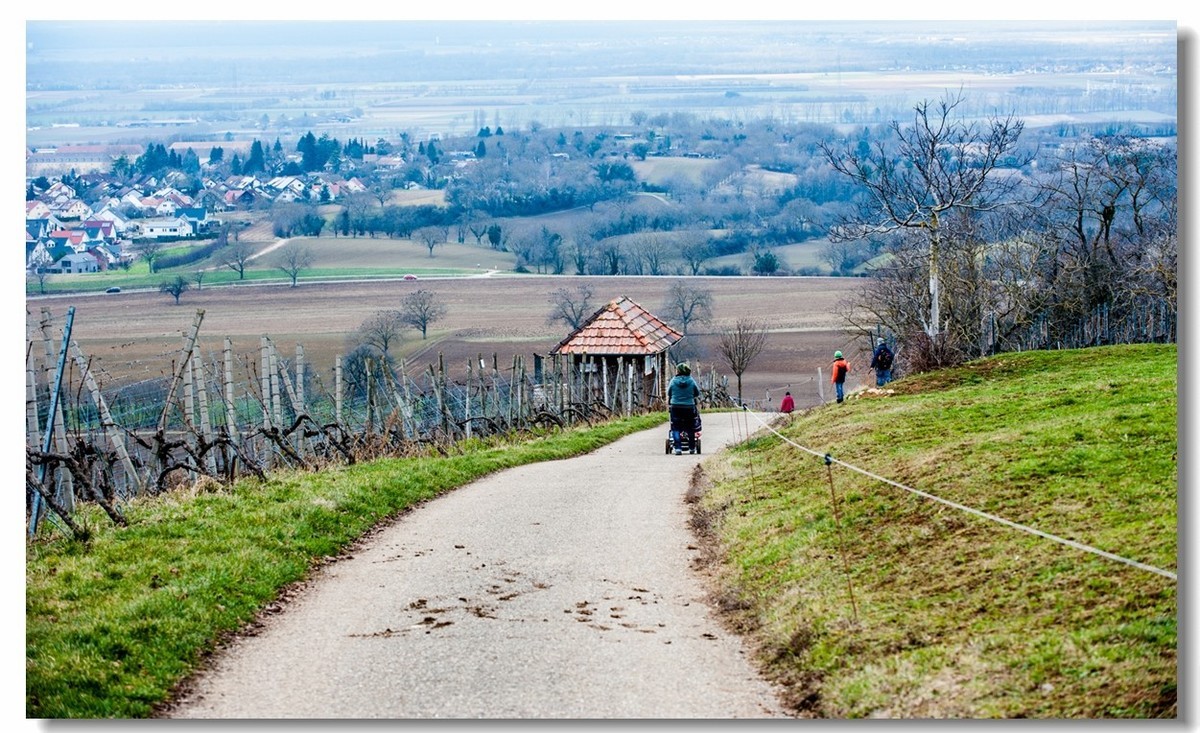 踏冬“罗马山”的德国人民