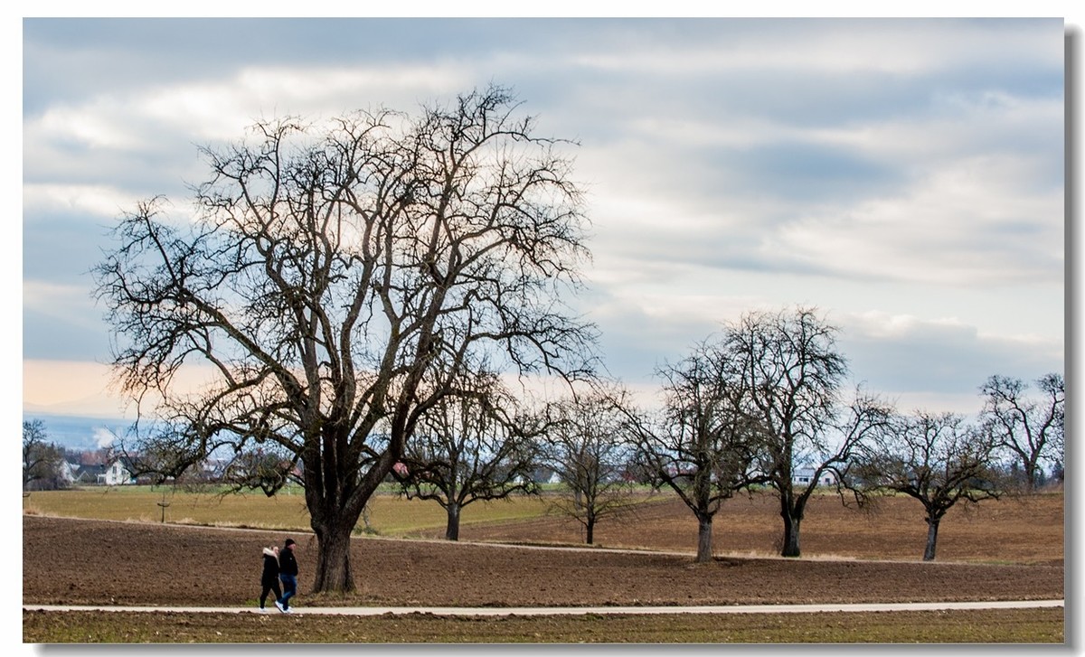踏冬“罗马山”的德国人民