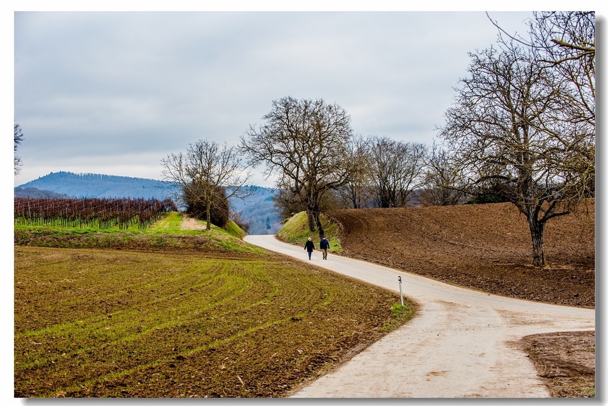 踏冬“罗马山”的德国人民