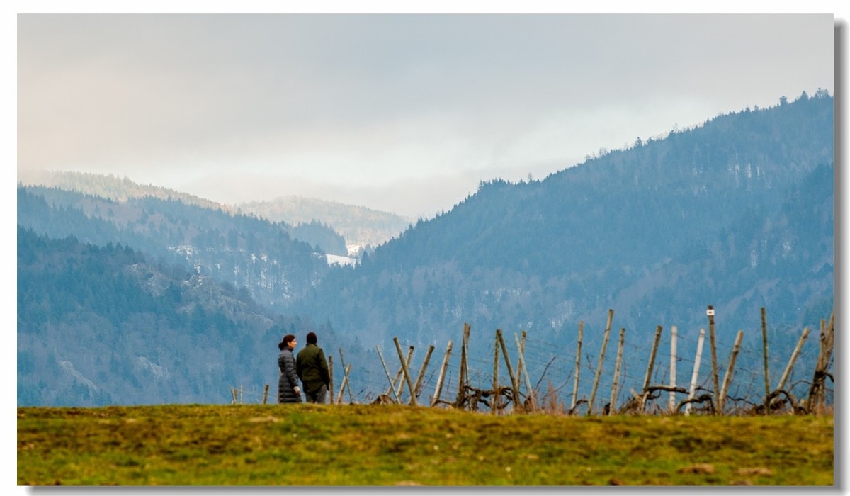 踏冬“罗马山”的德国人民