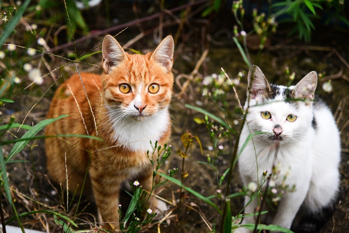 难得回来，跟新朋老友问个好！
