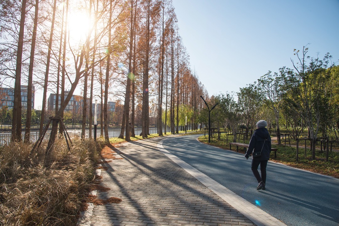 难得回来，跟新朋老友问个好！