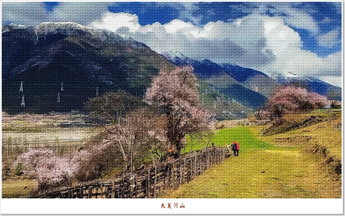 2023年第0188贴-波密风光抓拍集锦（0323F）