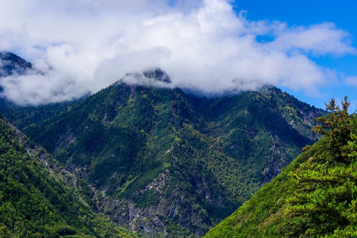 四川茂县松坪沟掠影（下）