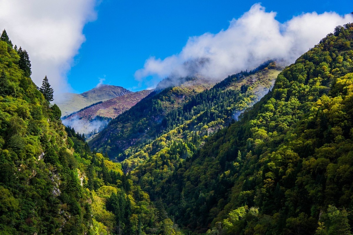 四川茂县松坪沟掠影（上）