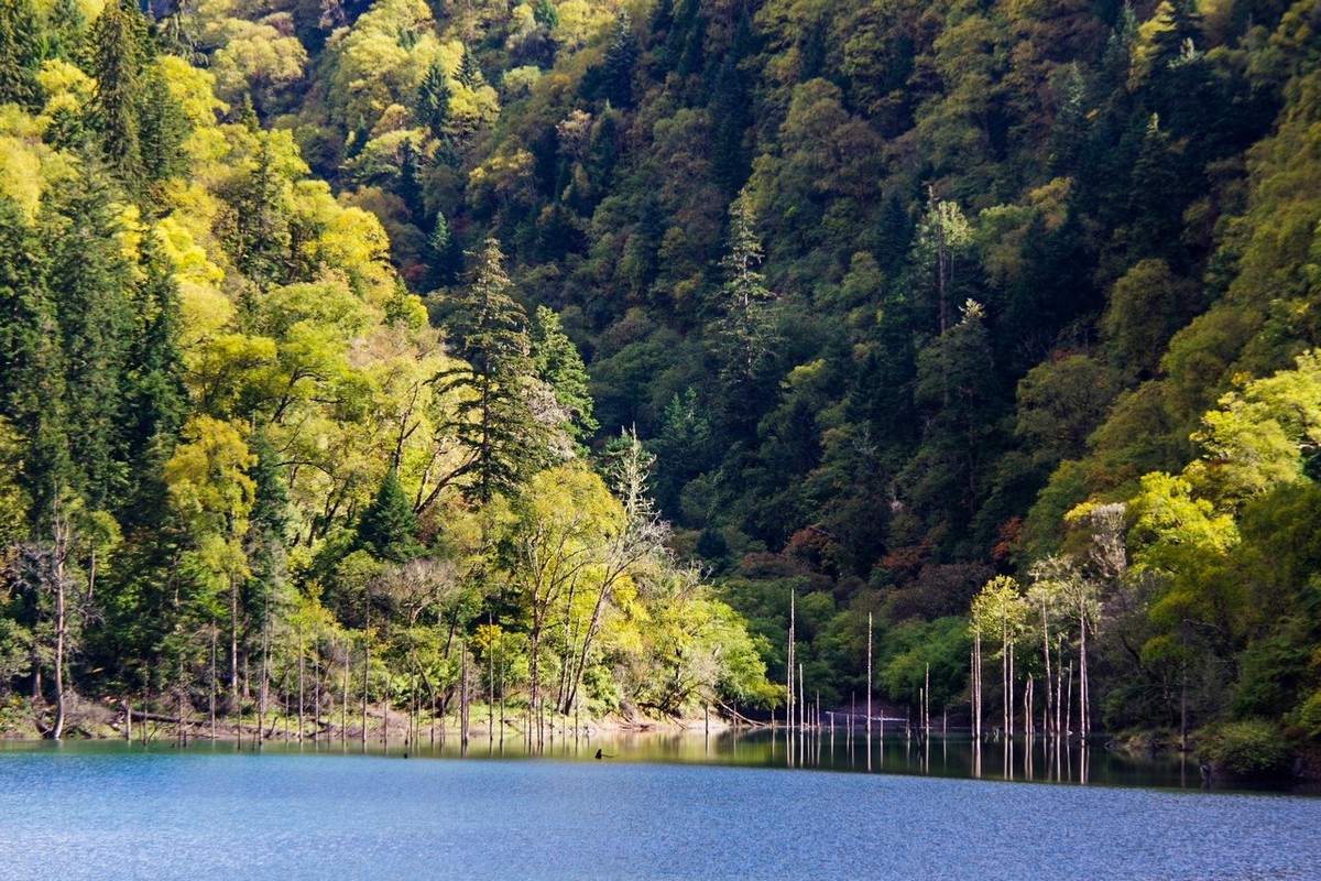 四川茂县松坪沟即景
