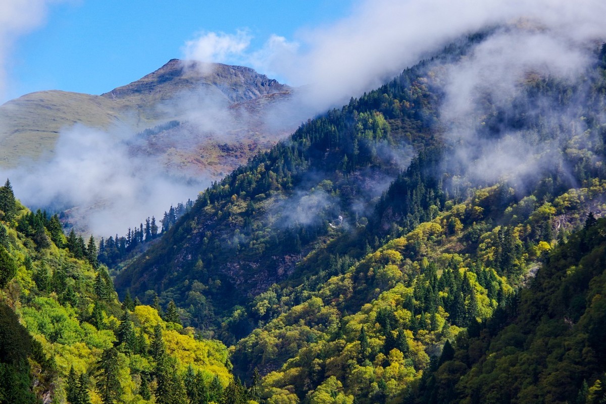 四川茂县松坪沟即景