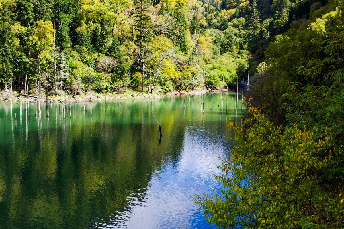 四川茂县松坪沟即景