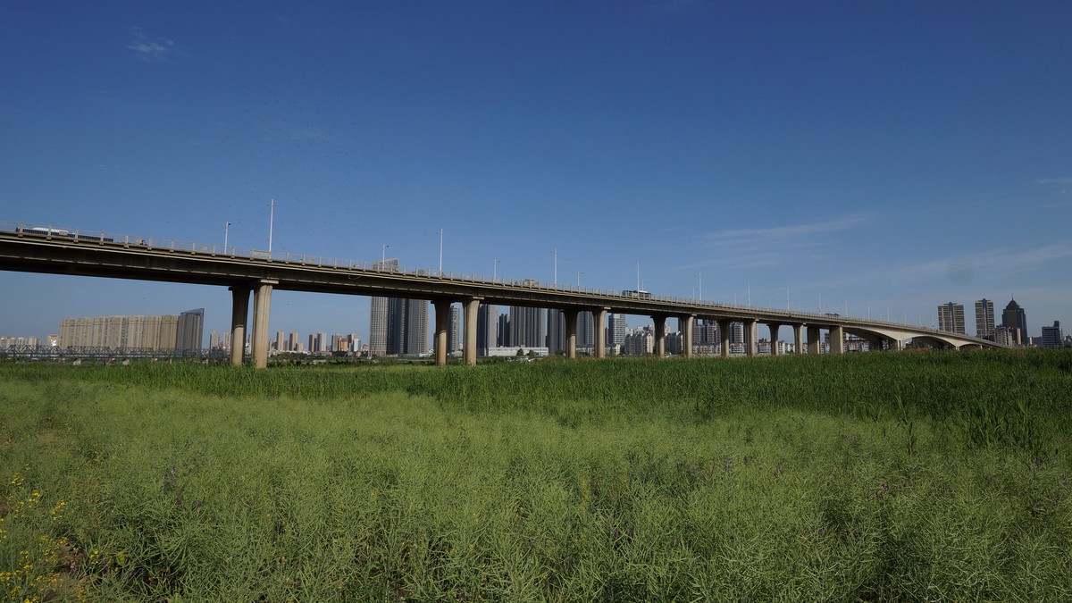 蚌埠靓淮河工程（五）