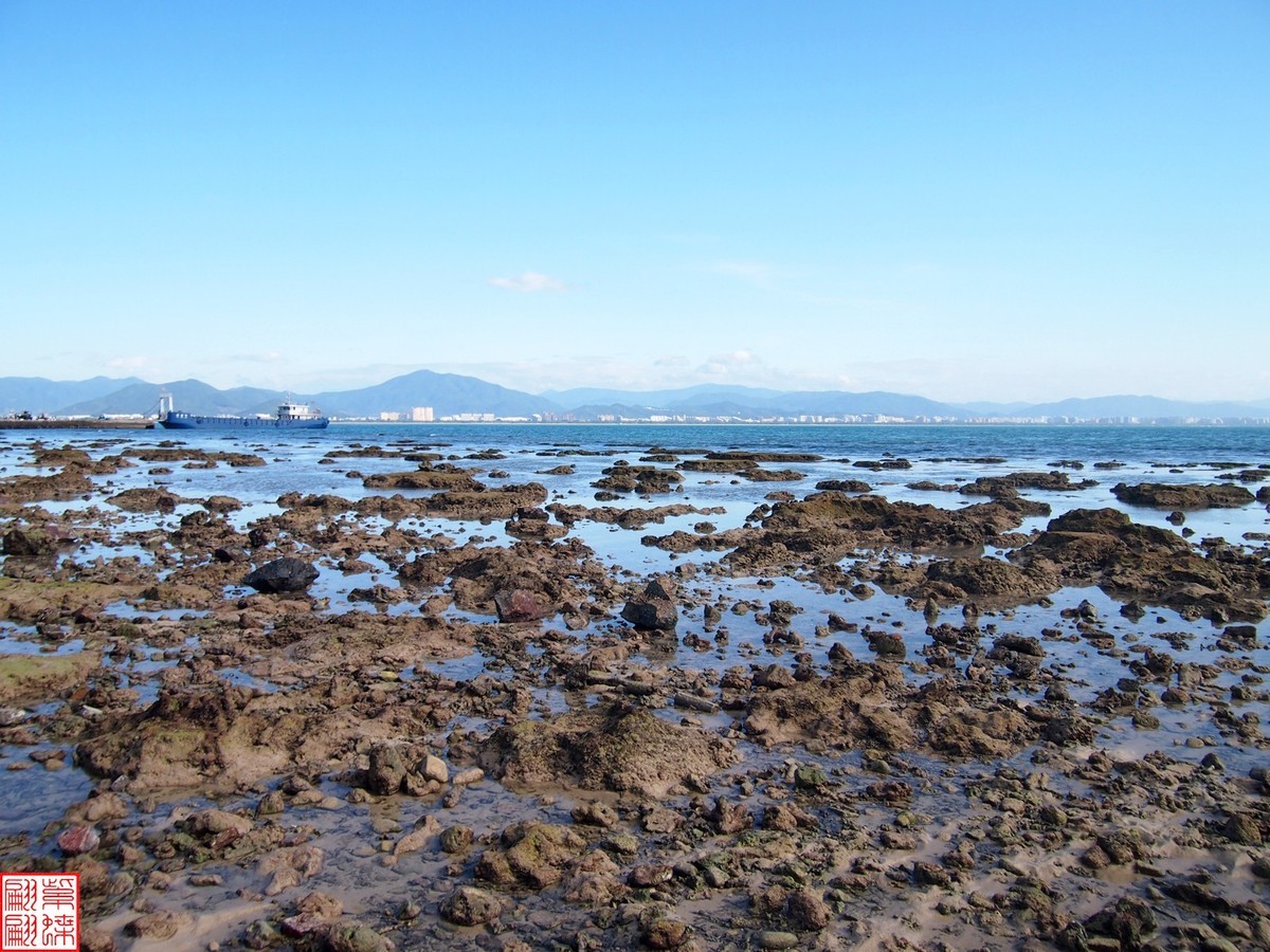 西沙群岛的美景 赶海图片