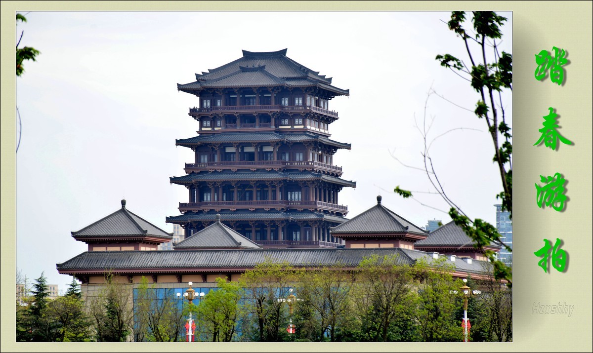 踏春游拍（2024213）