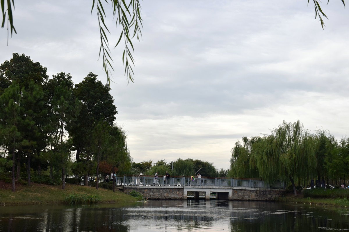 2024秋 江汉行（6）美丽的湖泊-- 洪湖