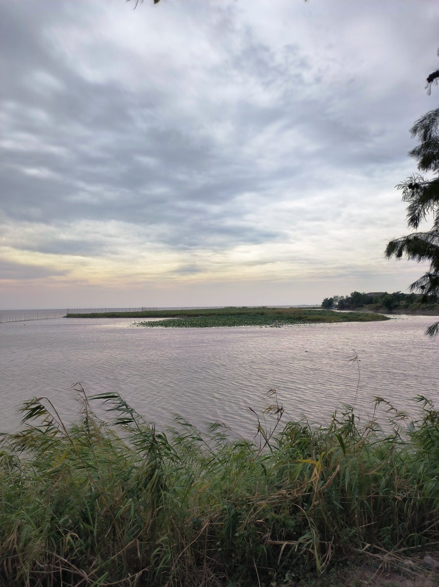 2024秋 江汉行（6）美丽的湖泊-- 洪湖