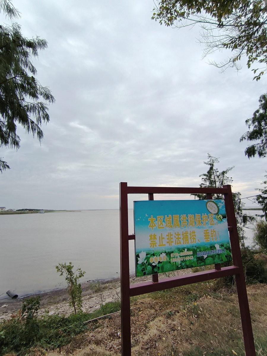 2024秋 江汉行（6）美丽的湖泊-- 洪湖