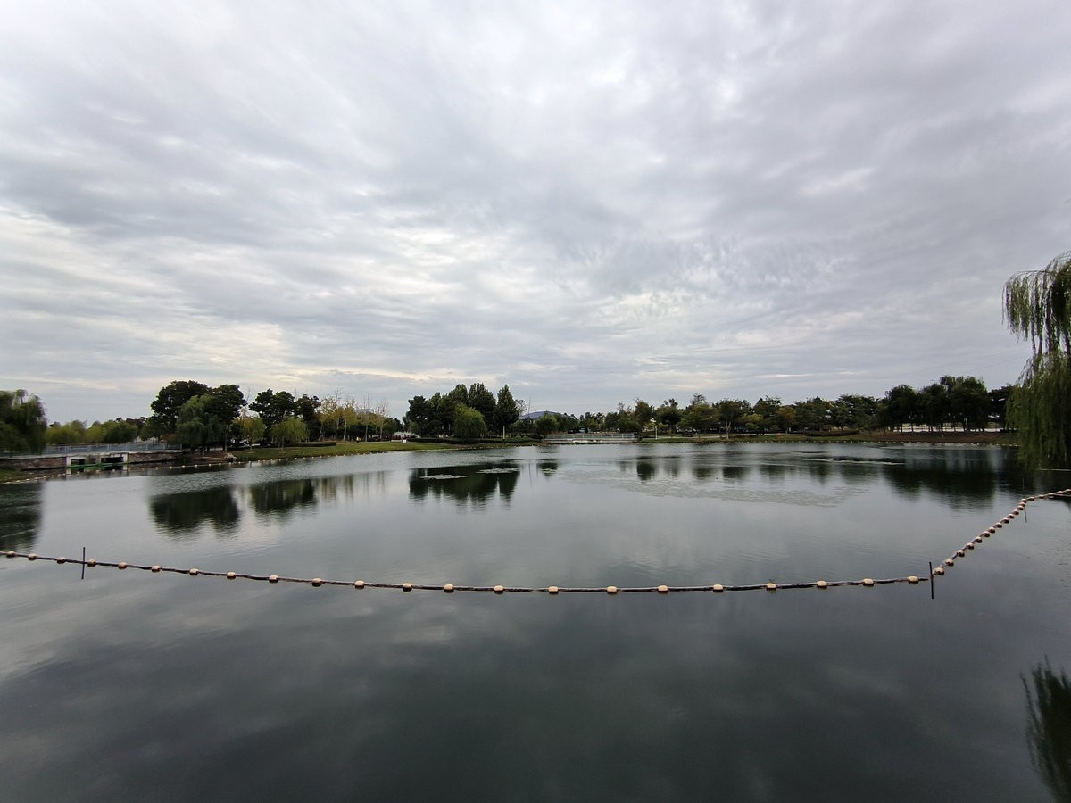 2024秋 江汉行（6）美丽的湖泊-- 洪湖