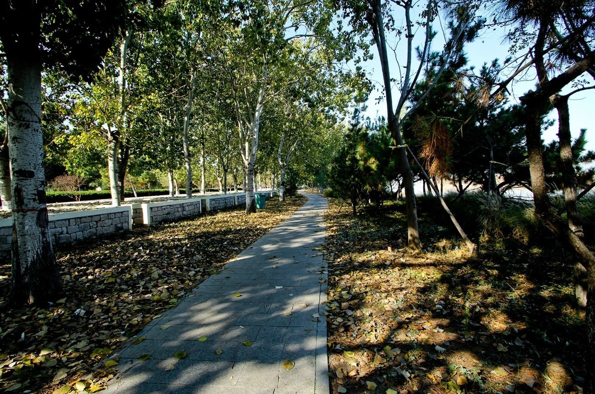 初冬——暖阳下的黄河公园速写（三）