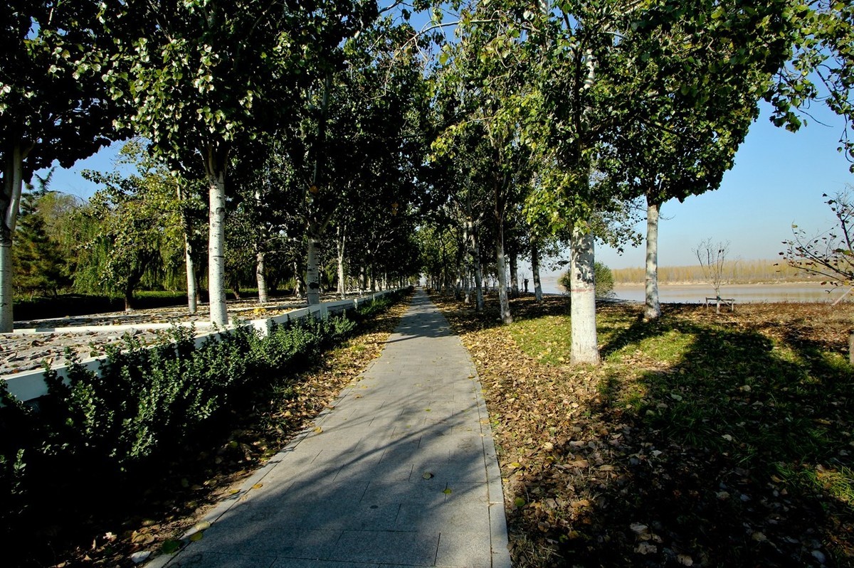 初冬——暖阳下的黄河公园速写（三）