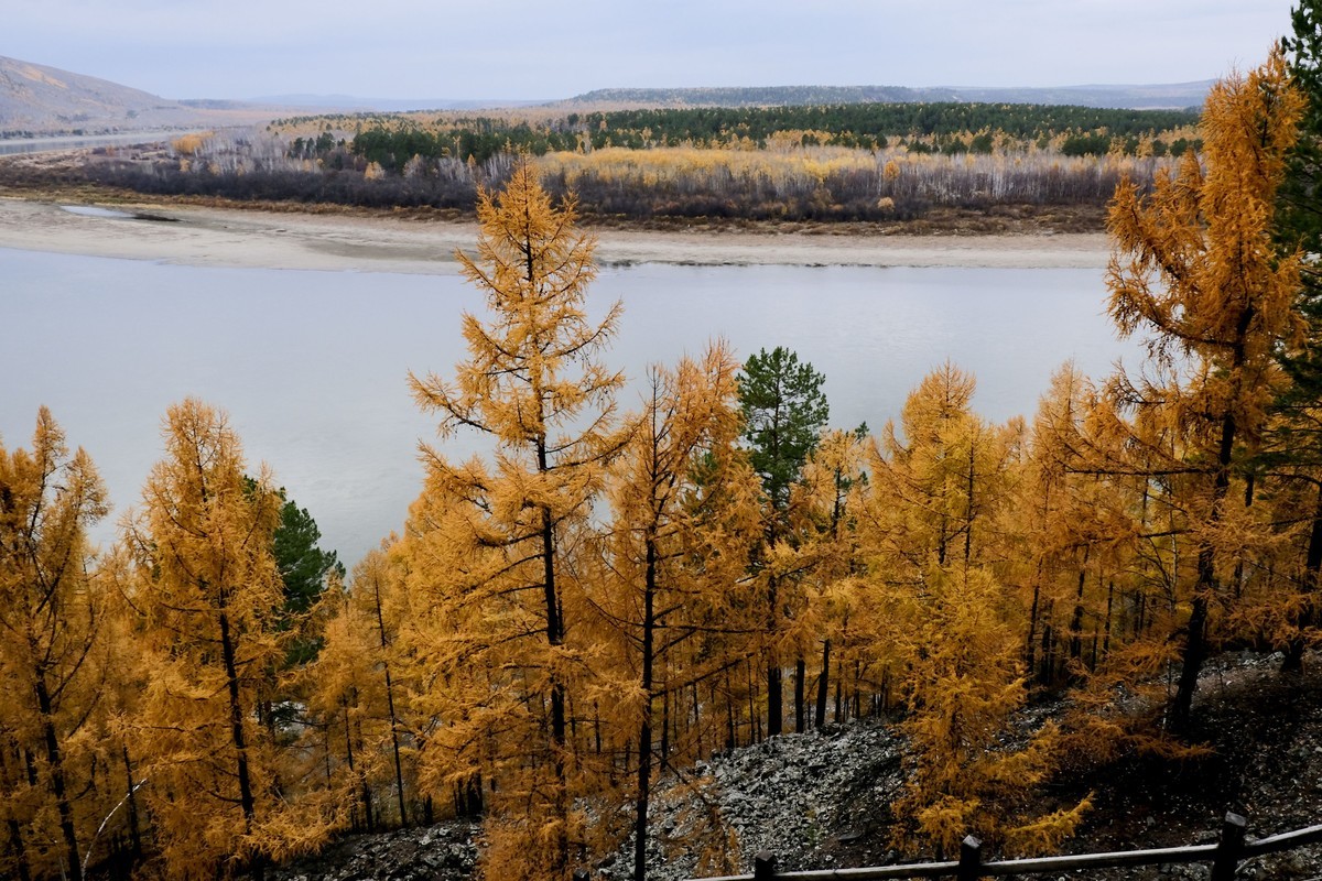 秋色随拍 （5）