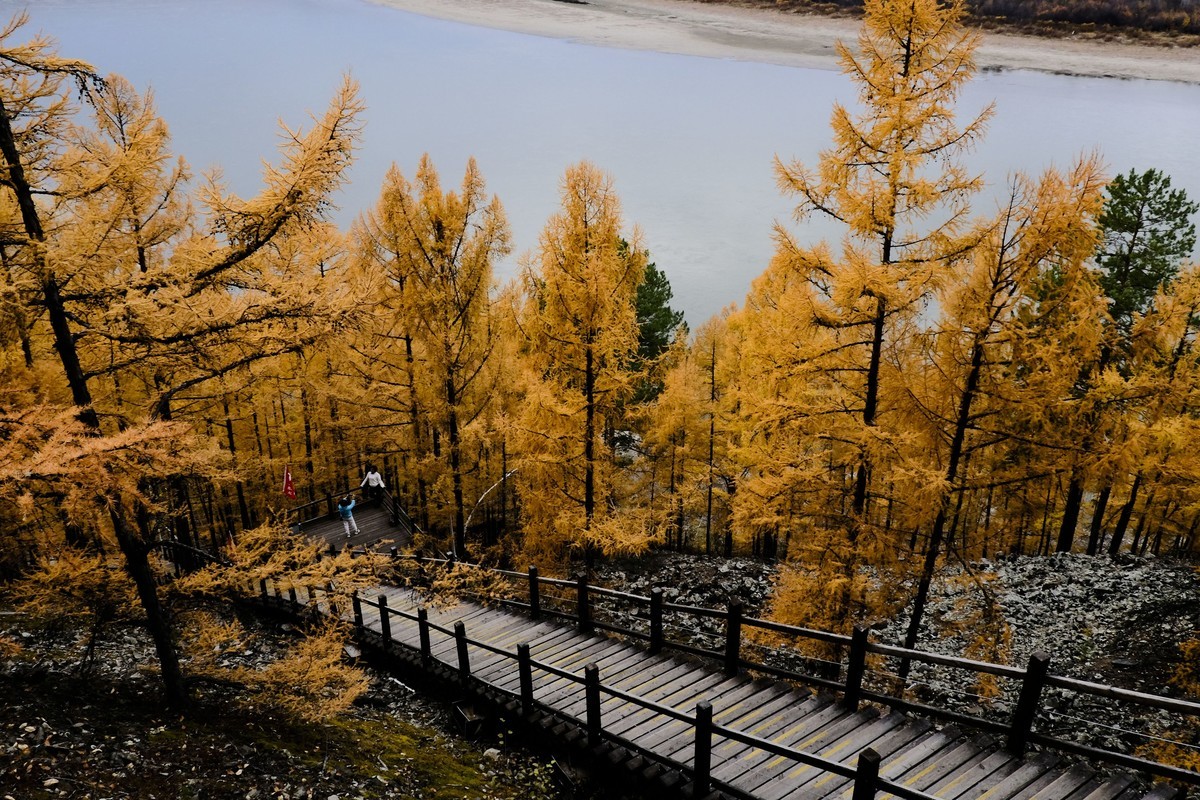 秋色随拍 （5）