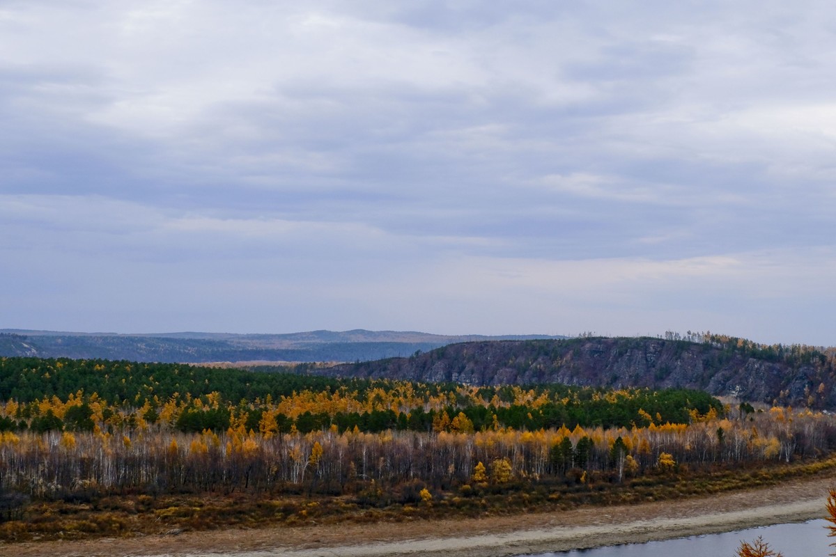 秋色随拍 （5）