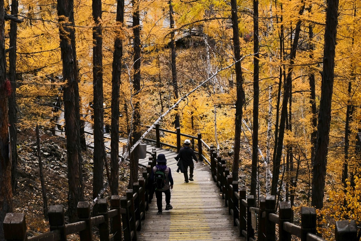 秋色随拍 （6）