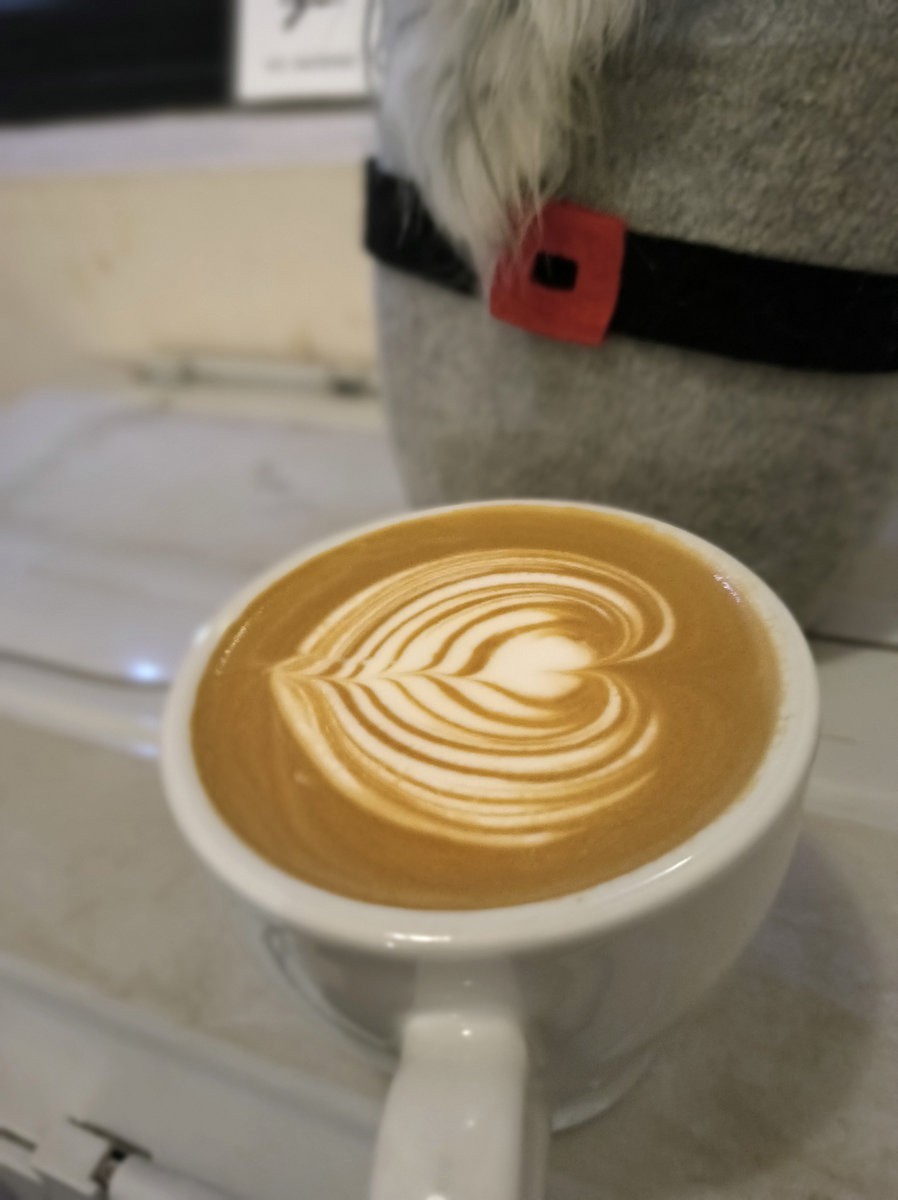 漫步星城 走街串巷（560）楠木厅咖啡