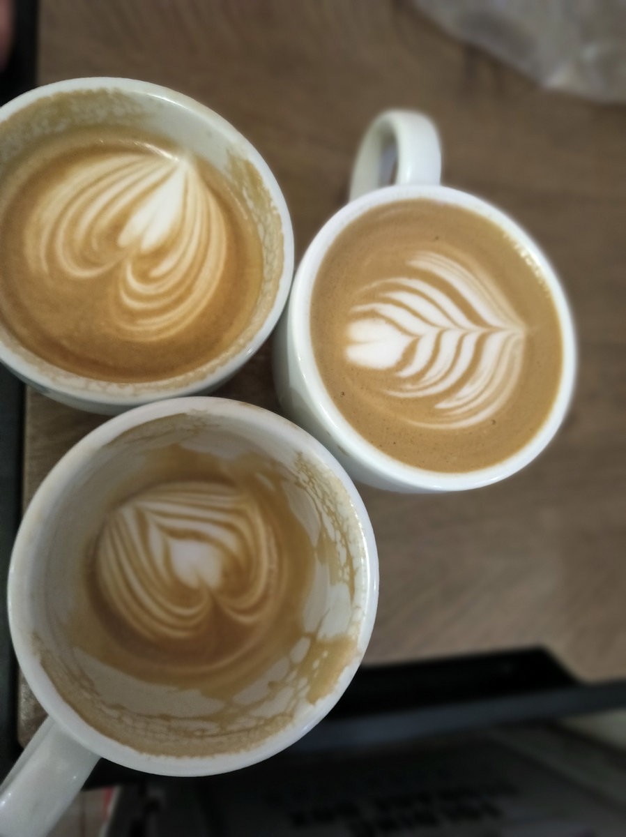 漫步星城 走街串巷（560）楠木厅咖啡