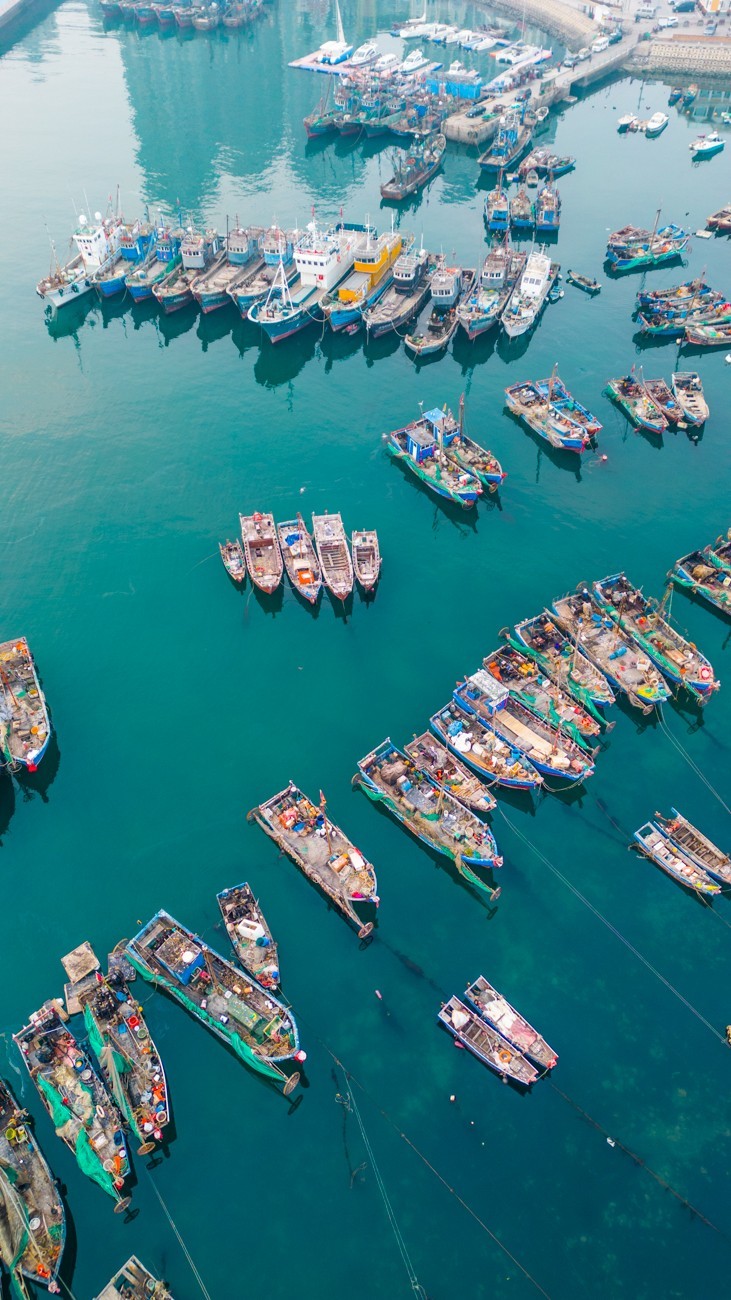 初春的渔人码头（竖拍）