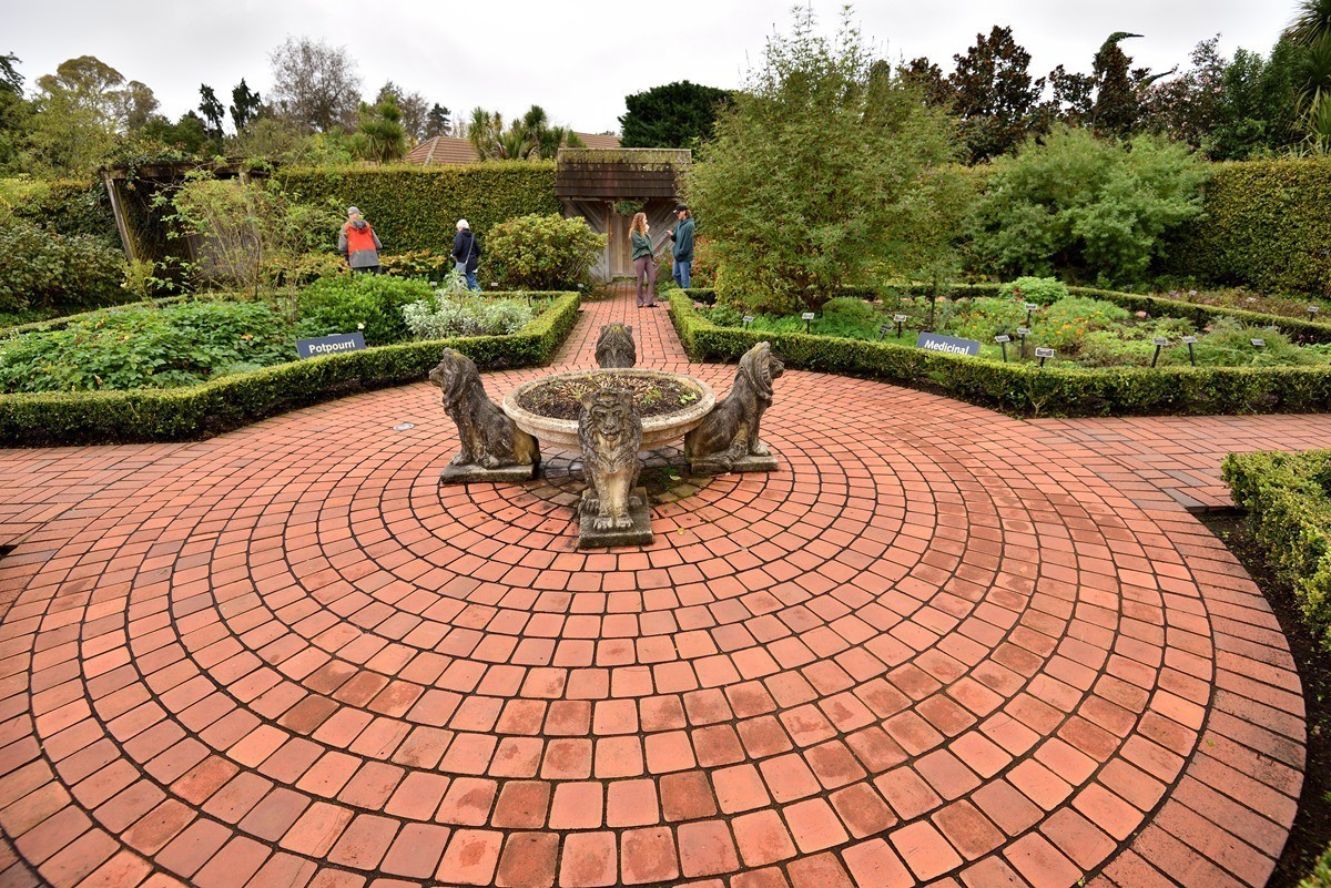 新西兰哈密尔顿花园      4/4