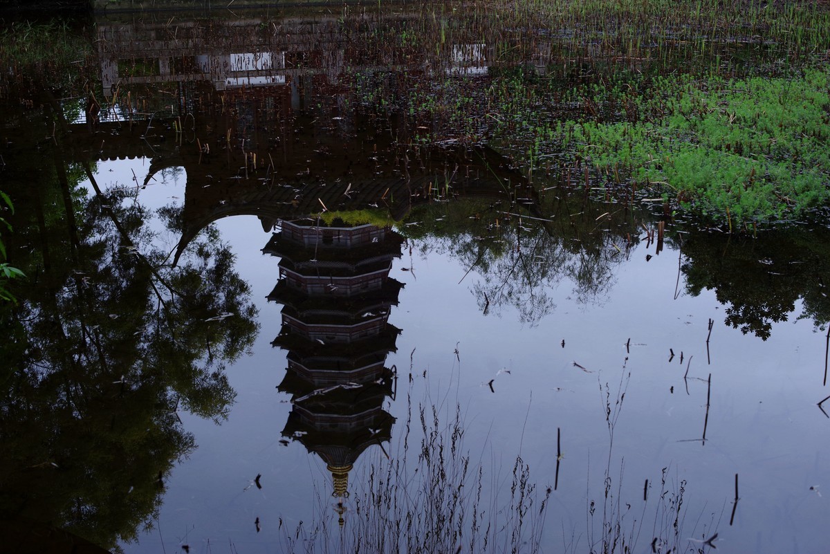 深秋的园林景观（太苦玛标头）