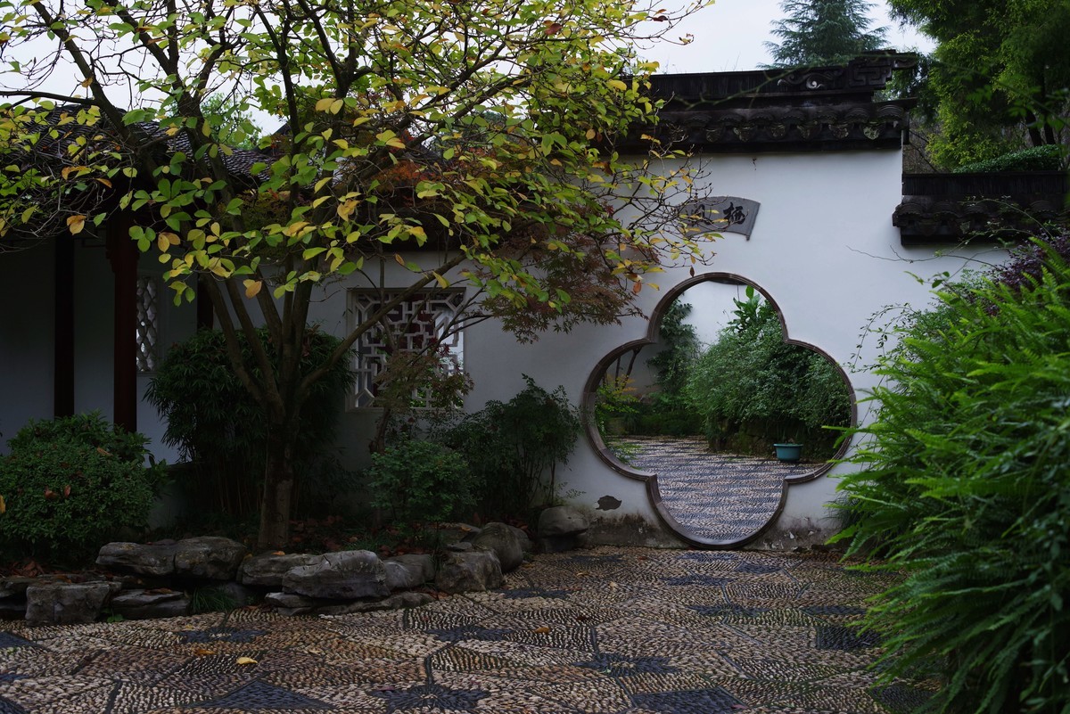 深秋的园林景观（太苦玛标头）