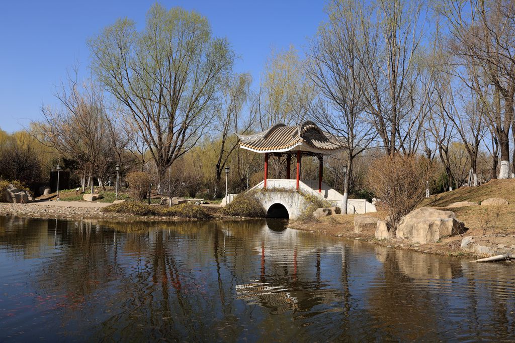 春风吹绿柳树梢