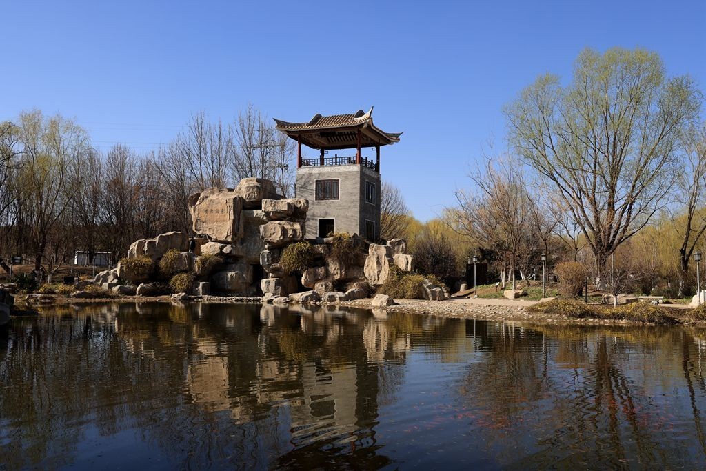 春风吹绿柳树梢