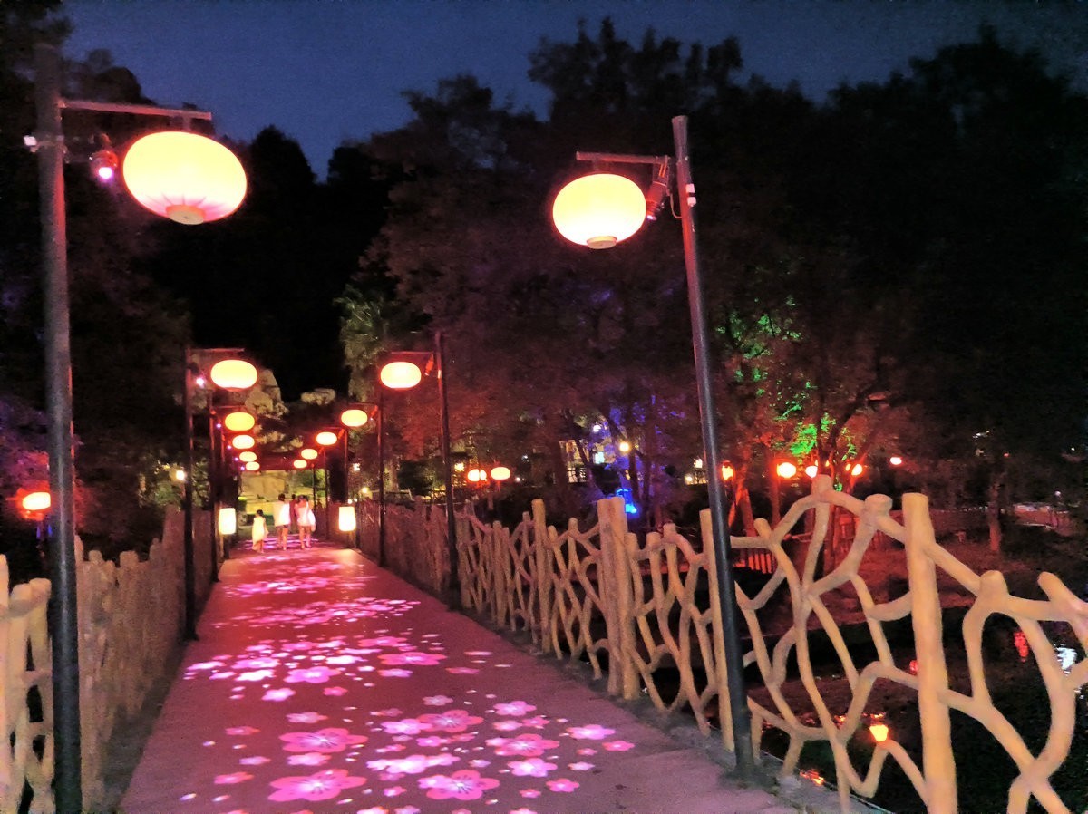 漫步星城 走街串巷（387）秋收汤 红酒醇