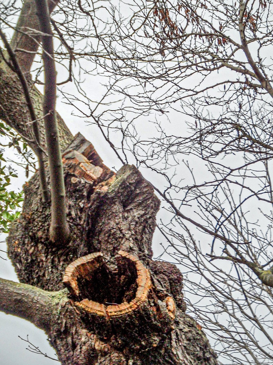 巴黎之”自由行“摄