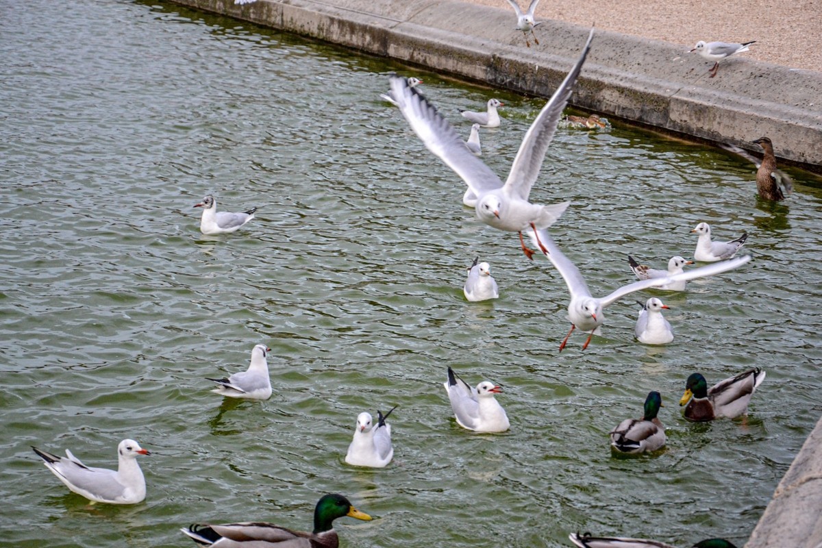 巴黎之”自由行“摄