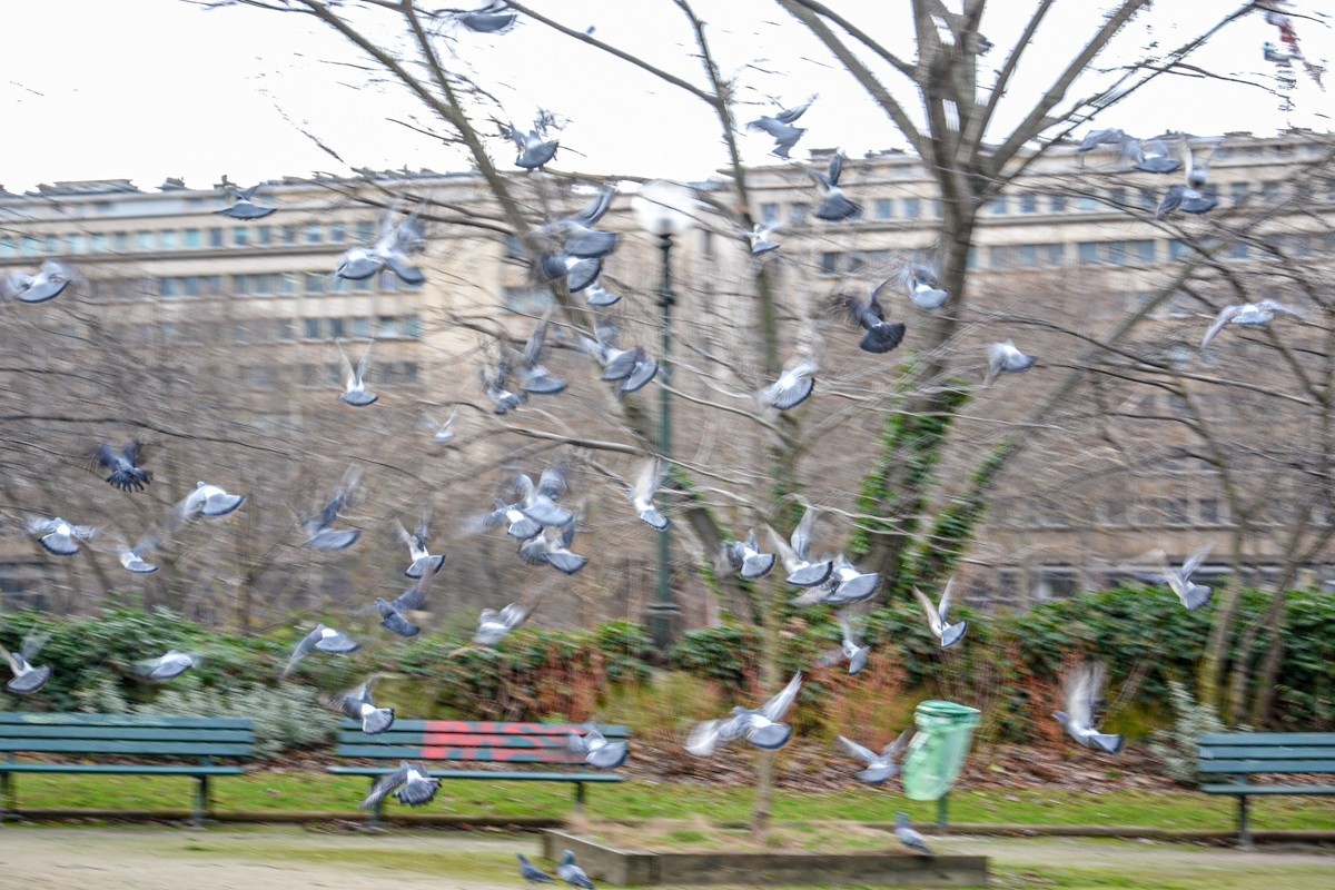 巴黎之”自由行“摄