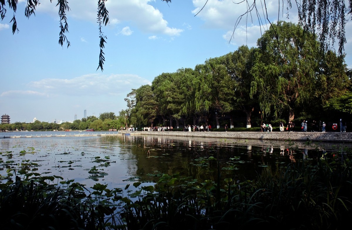 夏日——明湖杂拍（二）