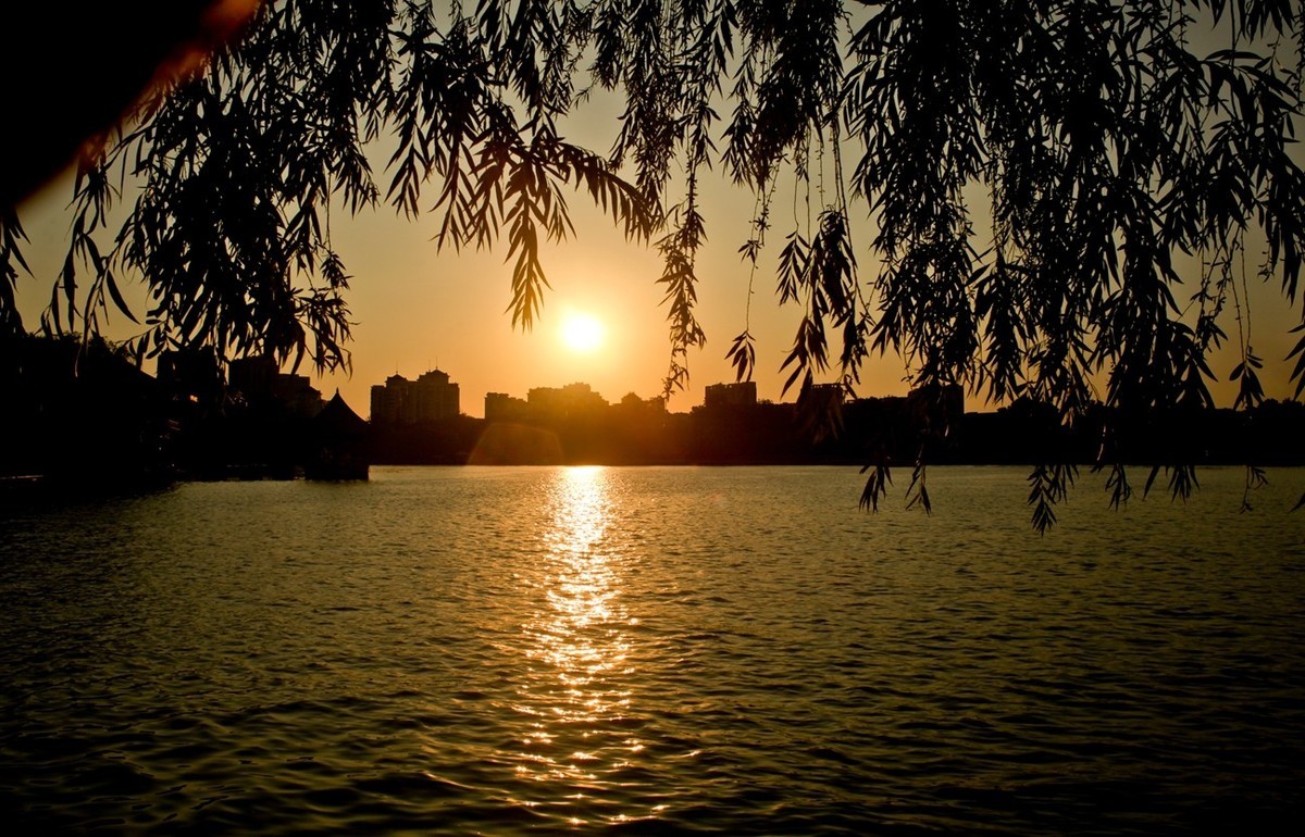 夏日——明湖杂拍（二）