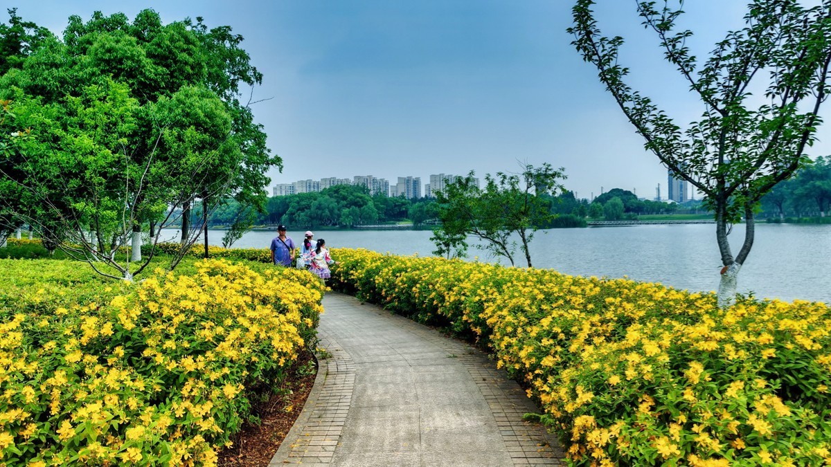 公园夏景（续2）