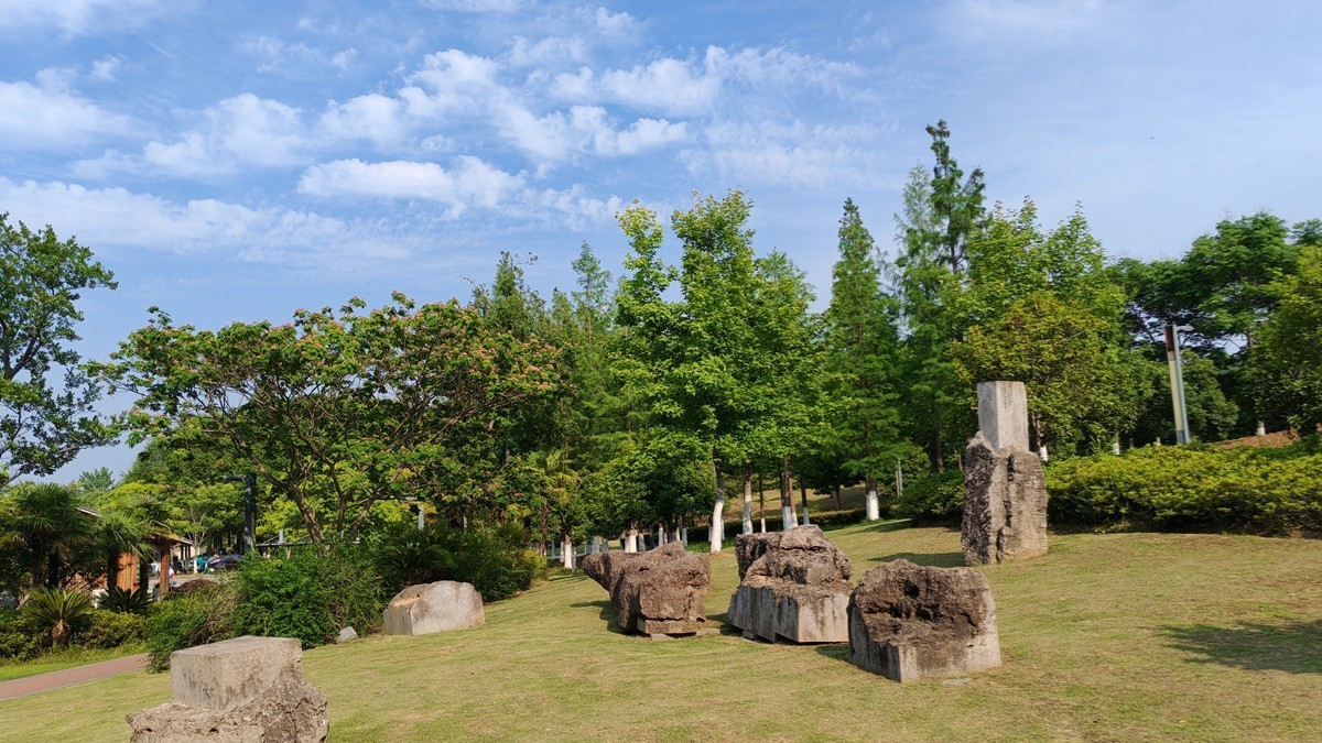 公园夏景（续2）