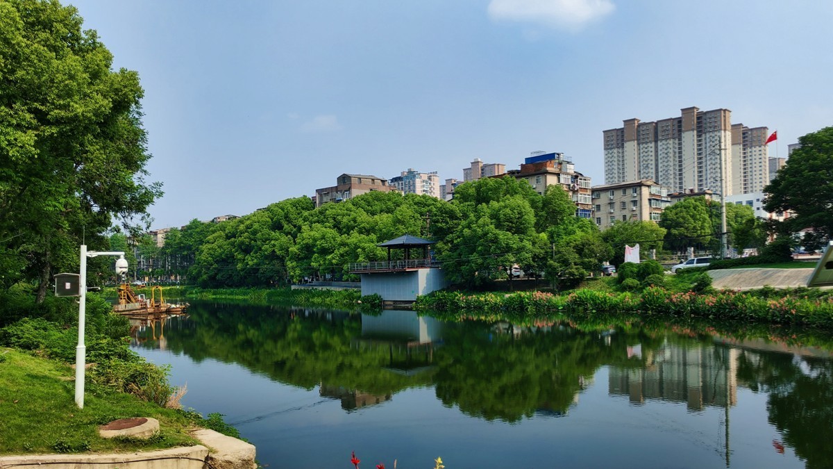 公园夏景（续2）