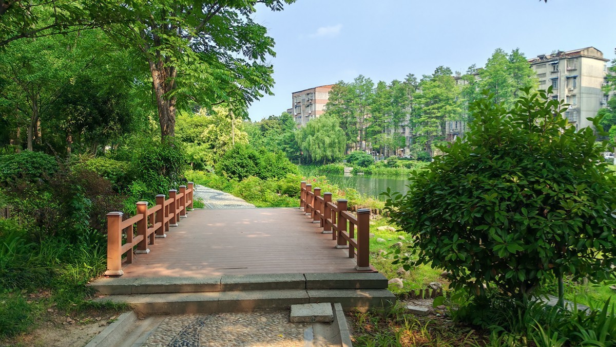 公园夏景（续2）